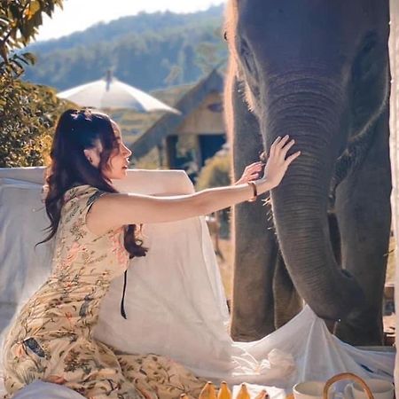 3 Pok Maewang Jinxiang Gold Elephant Park Mae Wang Exterior foto