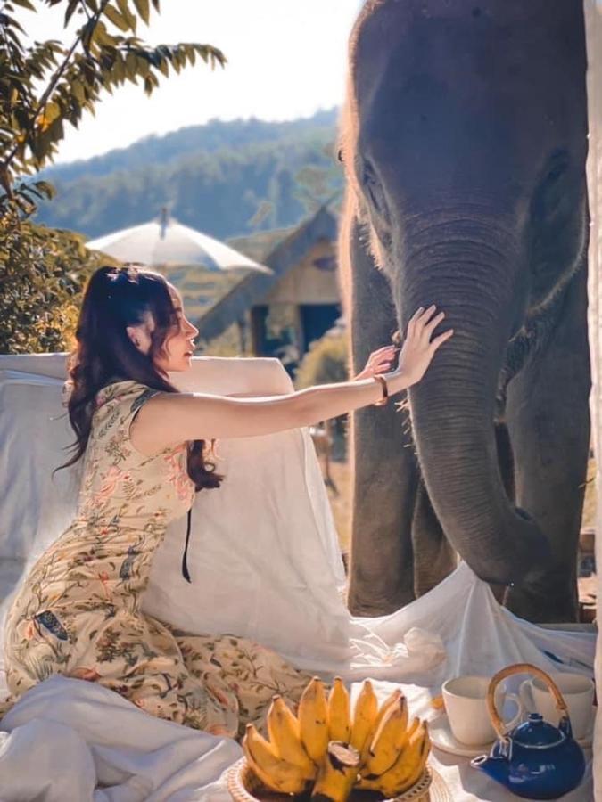 3 Pok Maewang Jinxiang Gold Elephant Park Mae Wang Exterior foto