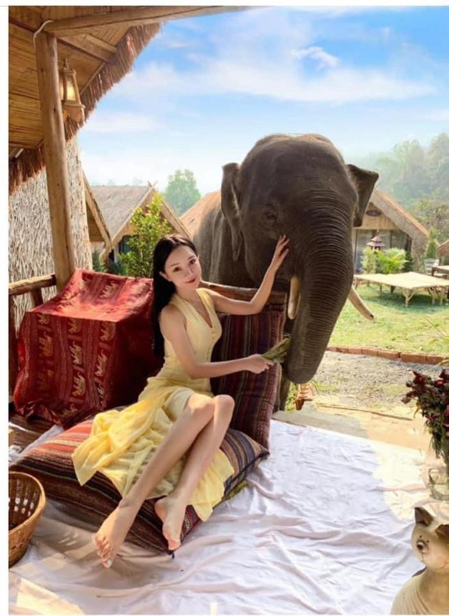 3 Pok Maewang Jinxiang Gold Elephant Park Mae Wang Exterior foto