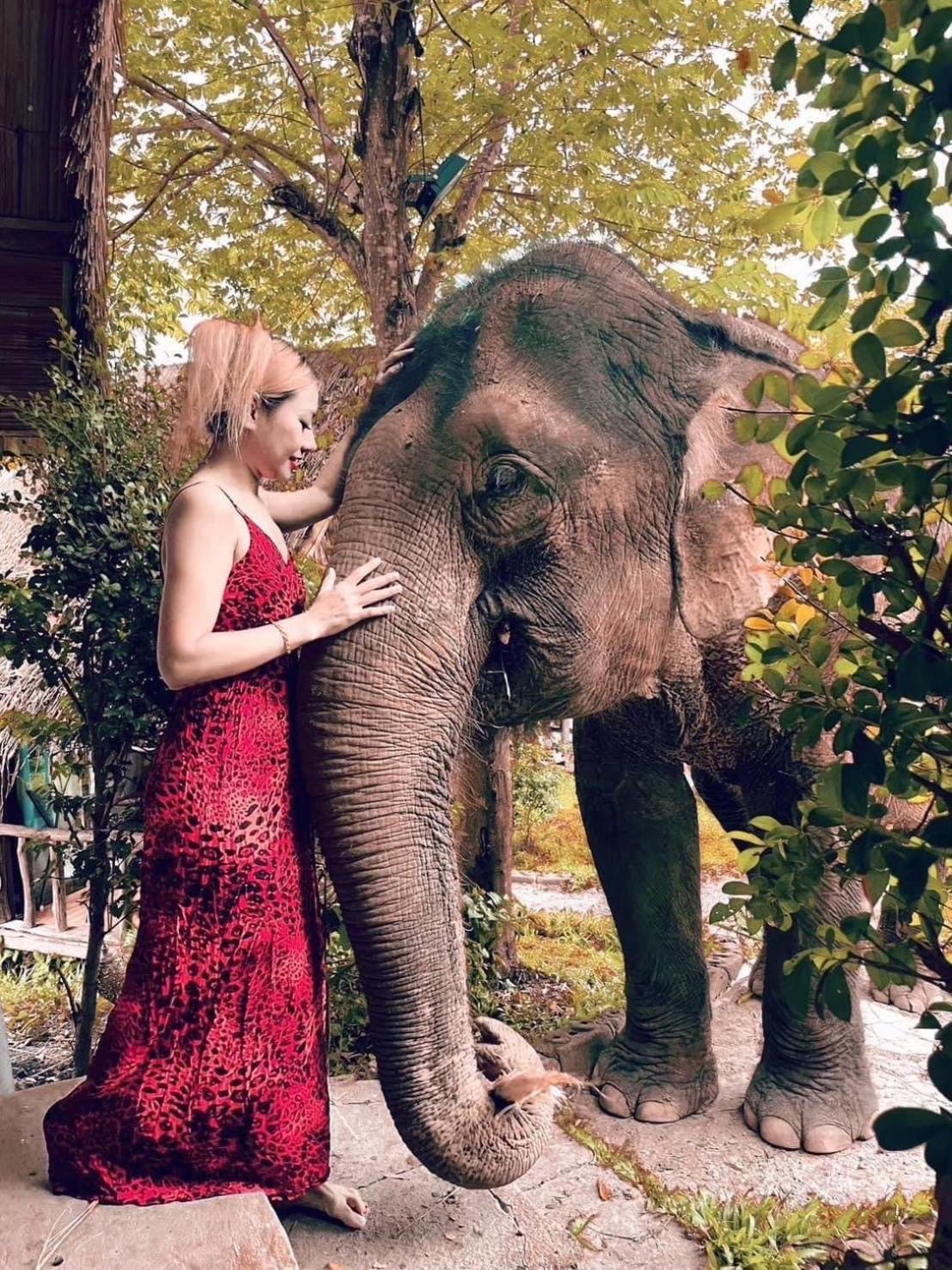 3 Pok Maewang Jinxiang Gold Elephant Park Mae Wang Exterior foto