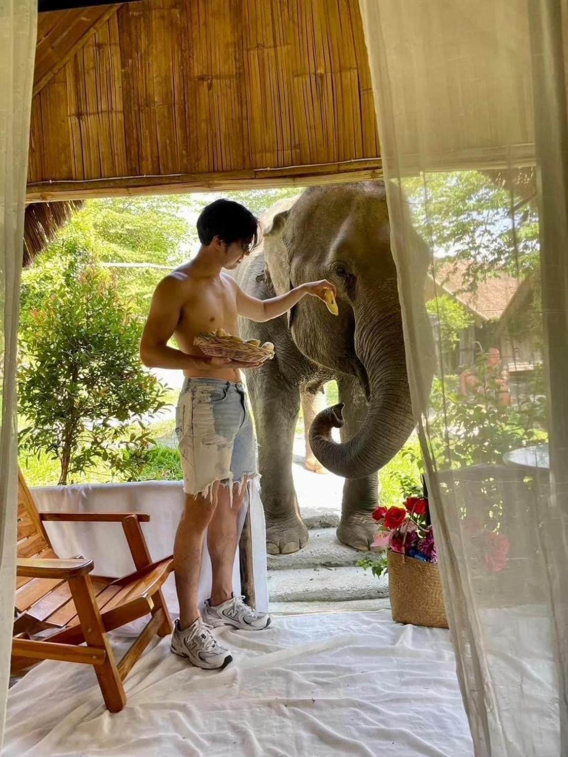 3 Pok Maewang Jinxiang Gold Elephant Park Mae Wang Exterior foto